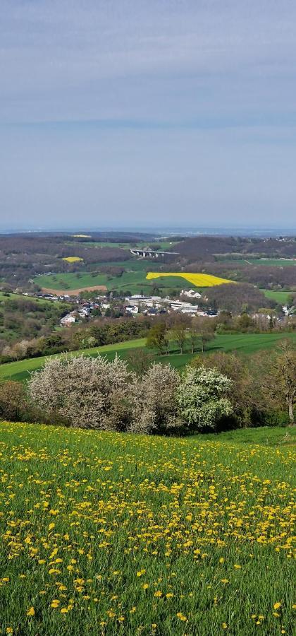 Gemuetliche Auszeit In Der Eifel Lägenhet Mechernich Exteriör bild